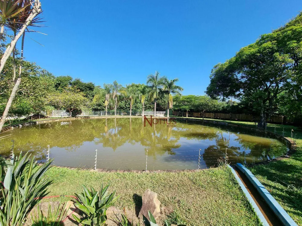 Sítio, 3 hectares - Foto 1