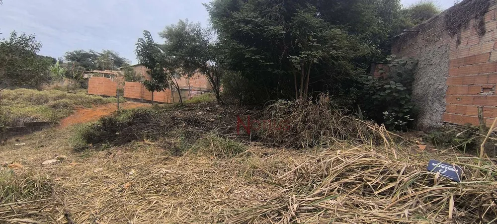 Terreno, 360 m² - Foto 4
