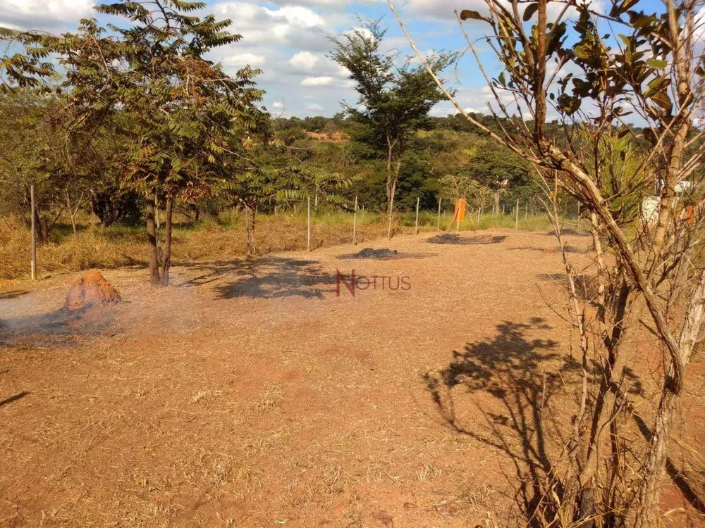 Terreno, 300 m² - Foto 5