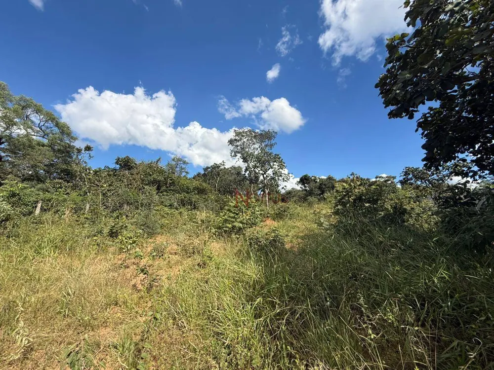 Terreno, 1000 m² - Foto 4