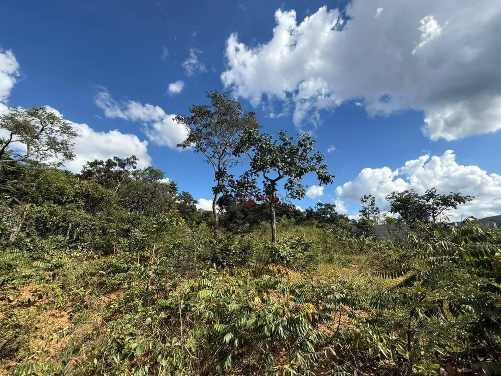 Terreno, 1000 m² - Foto 3