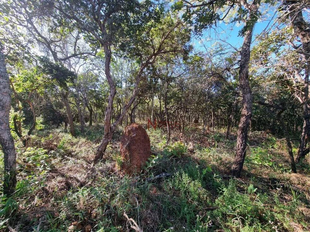 Terreno, 2500 m² - Foto 3