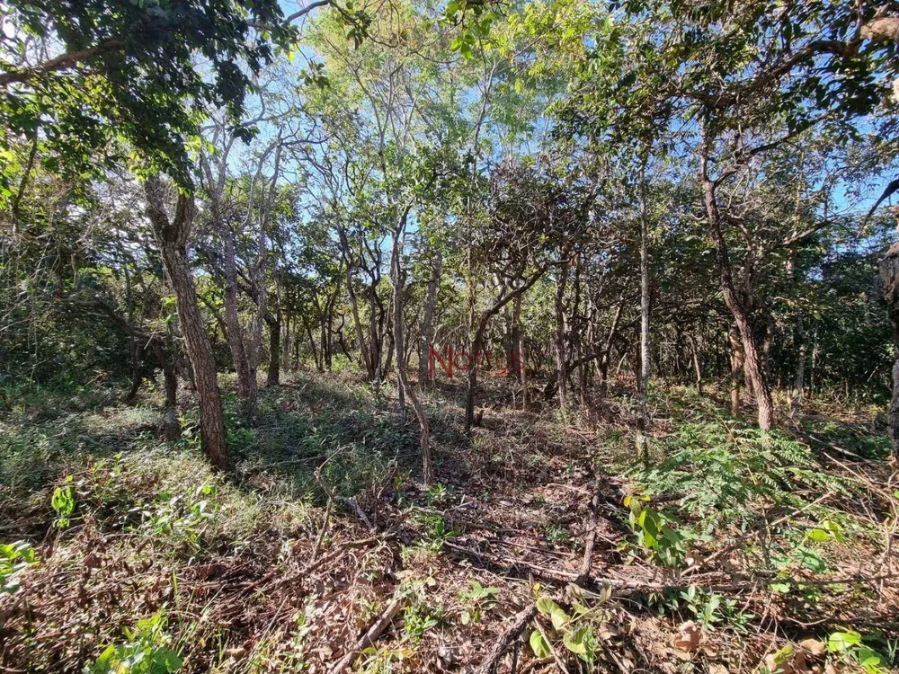 Terreno, 2500 m² - Foto 2