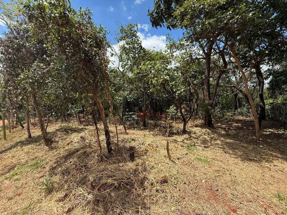 Terreno, 1000 m² - Foto 2