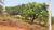 Terreno, 360 m² - Foto 3