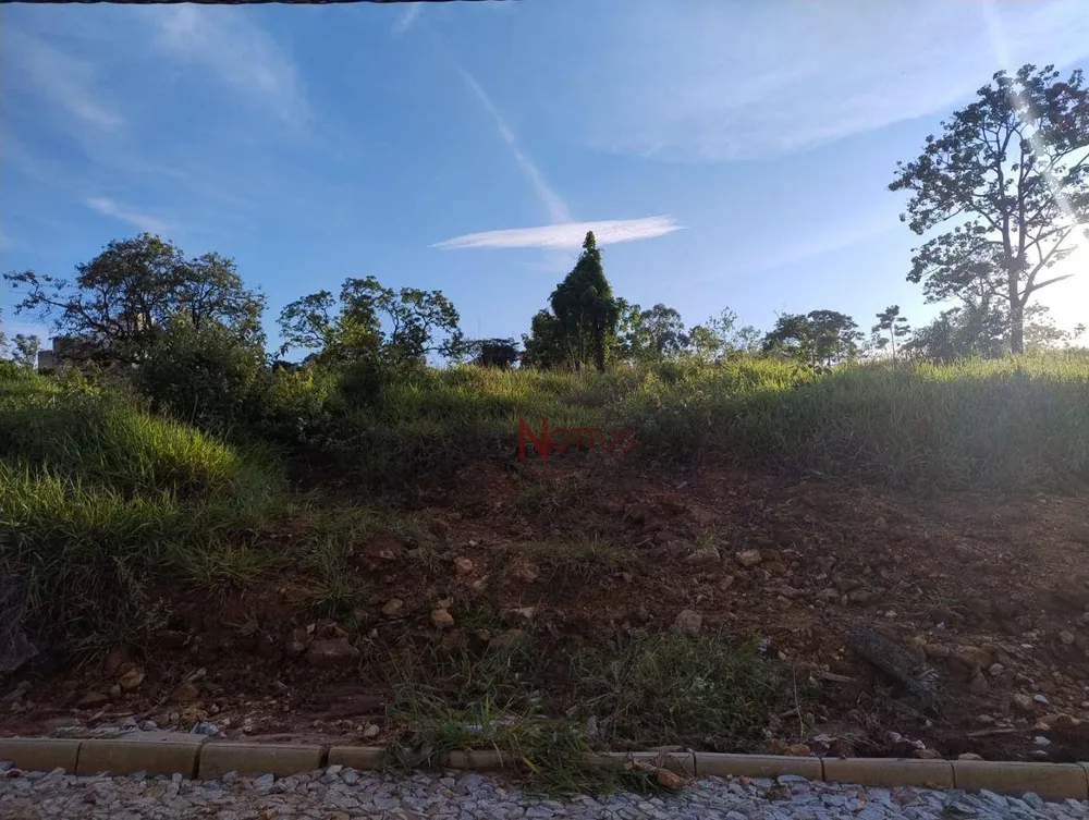 Terreno, 1535 m² - Foto 9