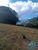 Sítio, 2 hectares - Foto 4