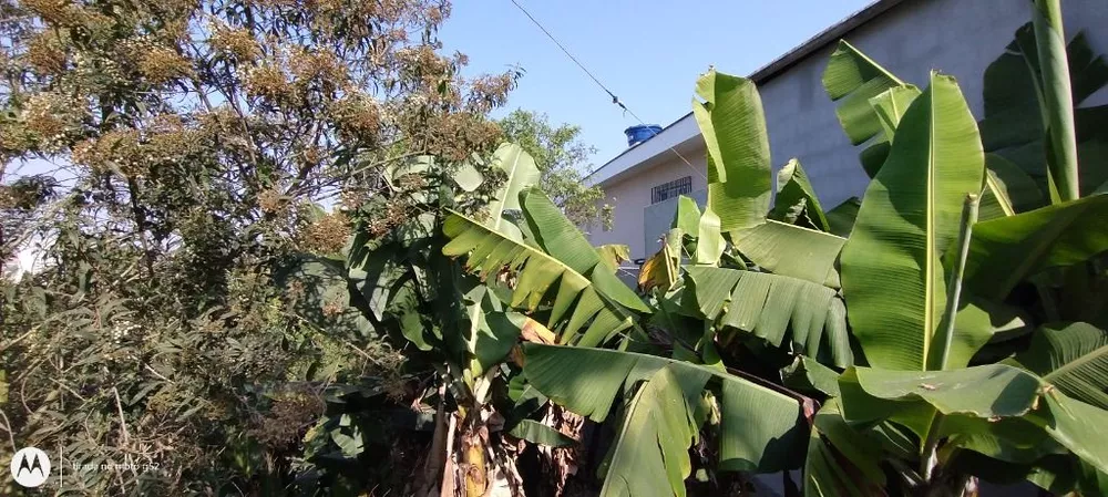 Terreno à venda e aluguel, 200m² - Foto 5