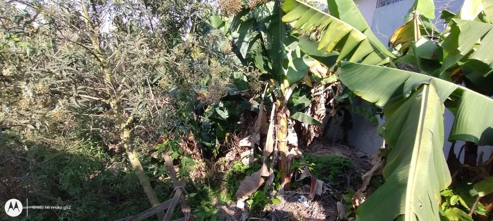 Terreno à venda e aluguel, 200m² - Foto 8