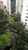 Apartamento, 5 quartos, 293 m² - Foto 2