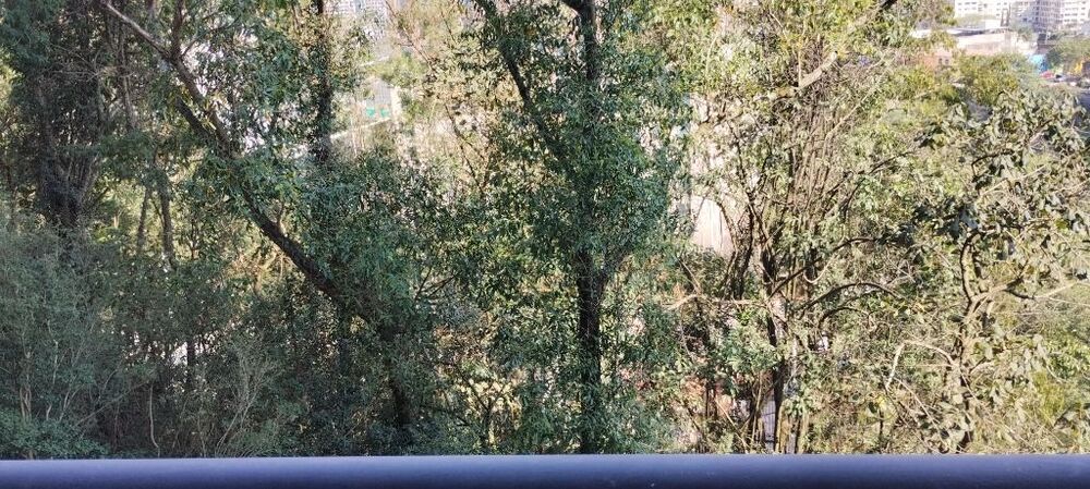 Kitnet-Studio, 26 m² - Foto 7