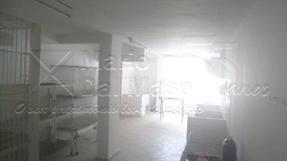 Loja-Salão, 250 m² - Foto 1