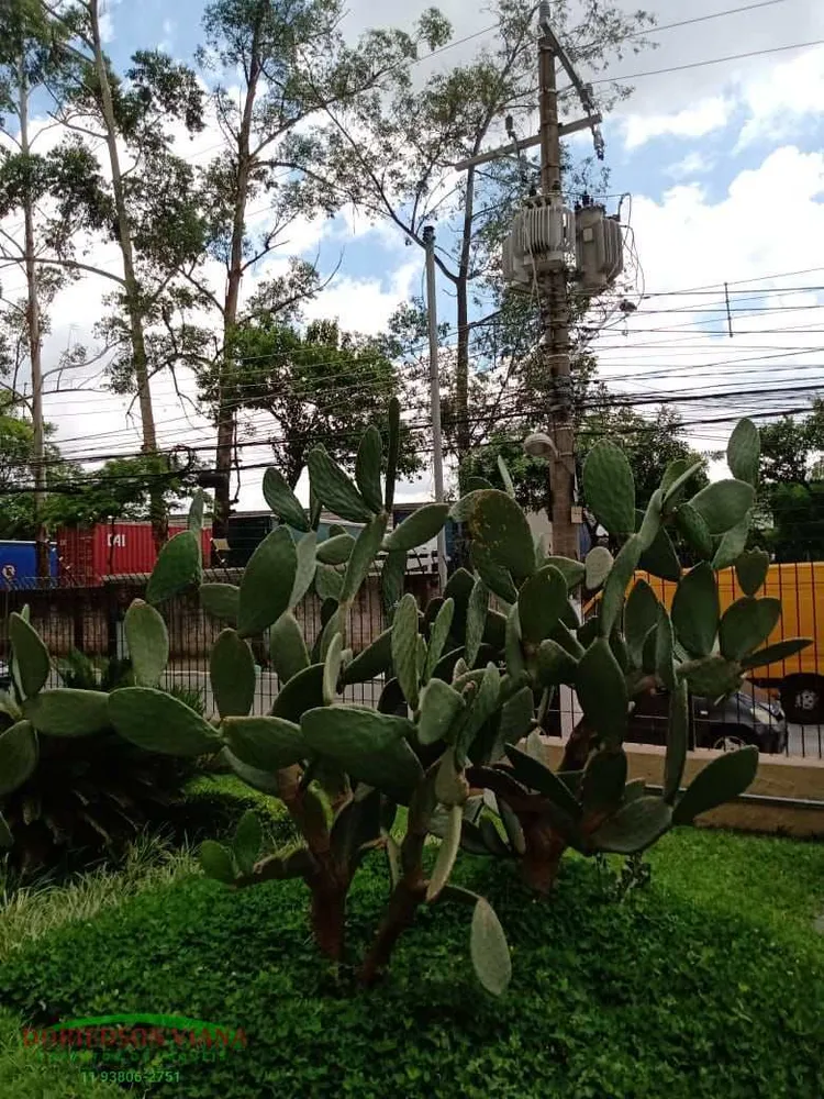 Apartamento, 2 quartos, 49 m² - Foto 4