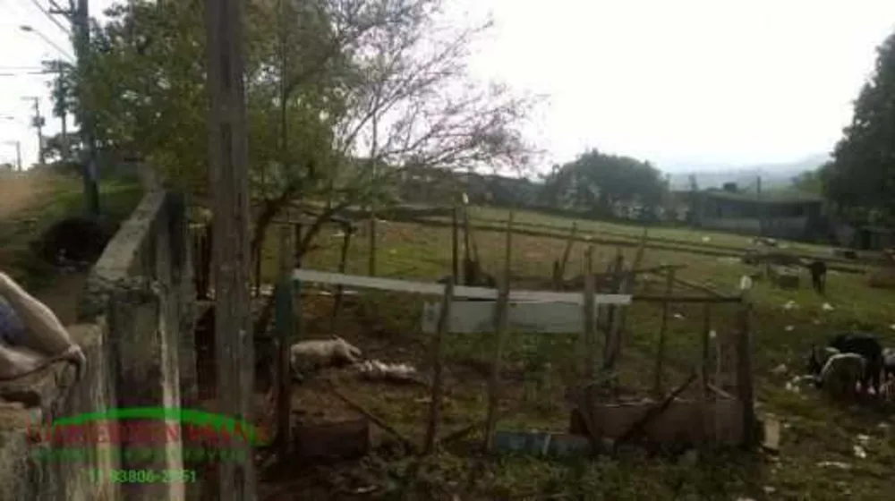 Terreno, 10000 m² - Foto 7