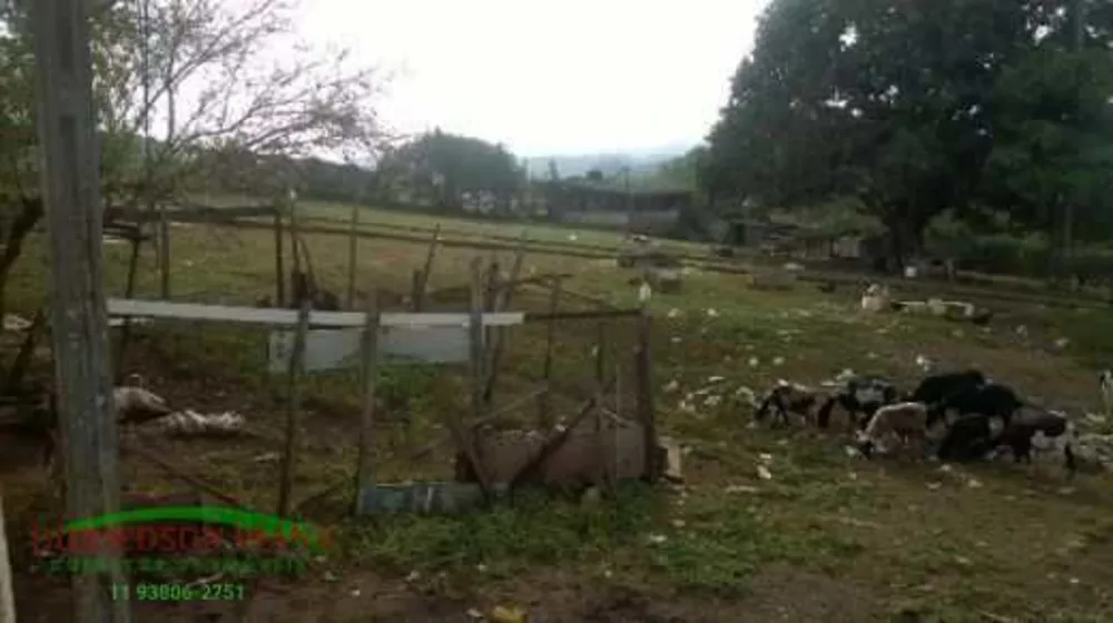 Terreno, 10000 m² - Foto 4
