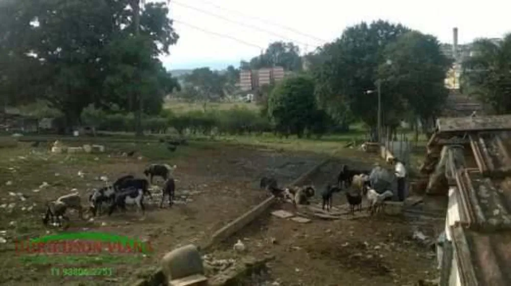 Terreno, 10000 m² - Foto 3