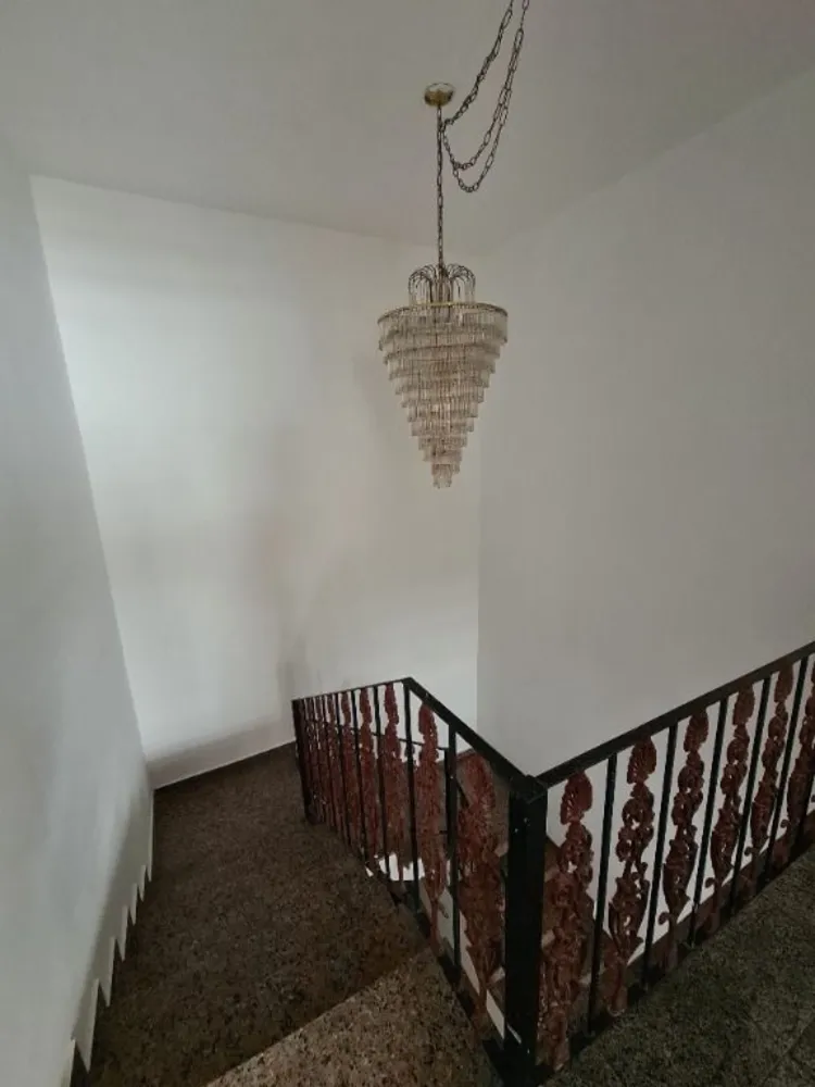 Casa, 3 quartos, 800 m² - Foto 4