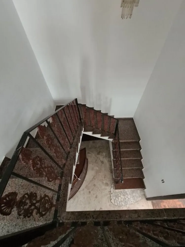 Casa, 3 quartos, 800 m² - Foto 3