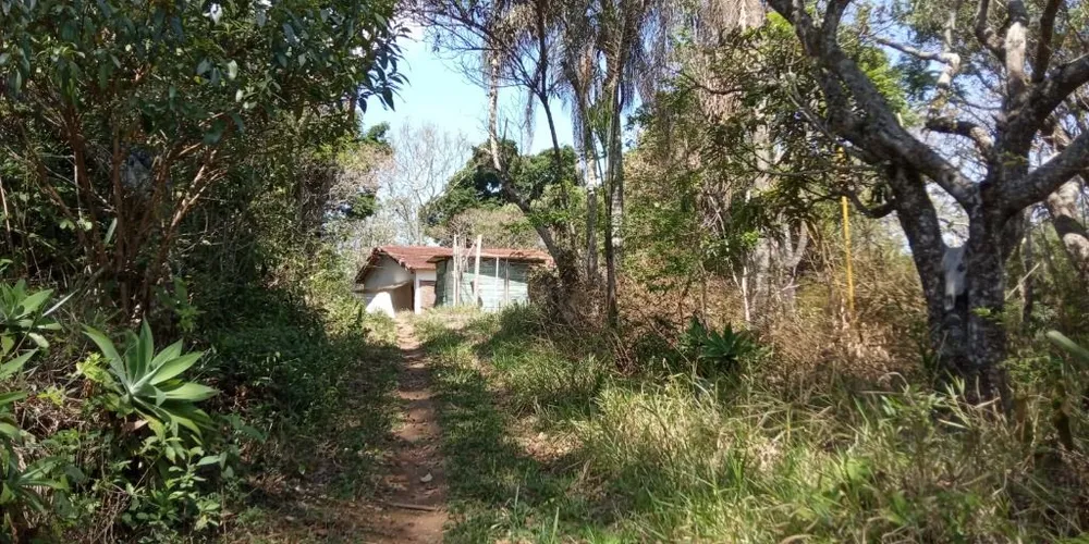 Sítio, 80 hectares - Foto 4