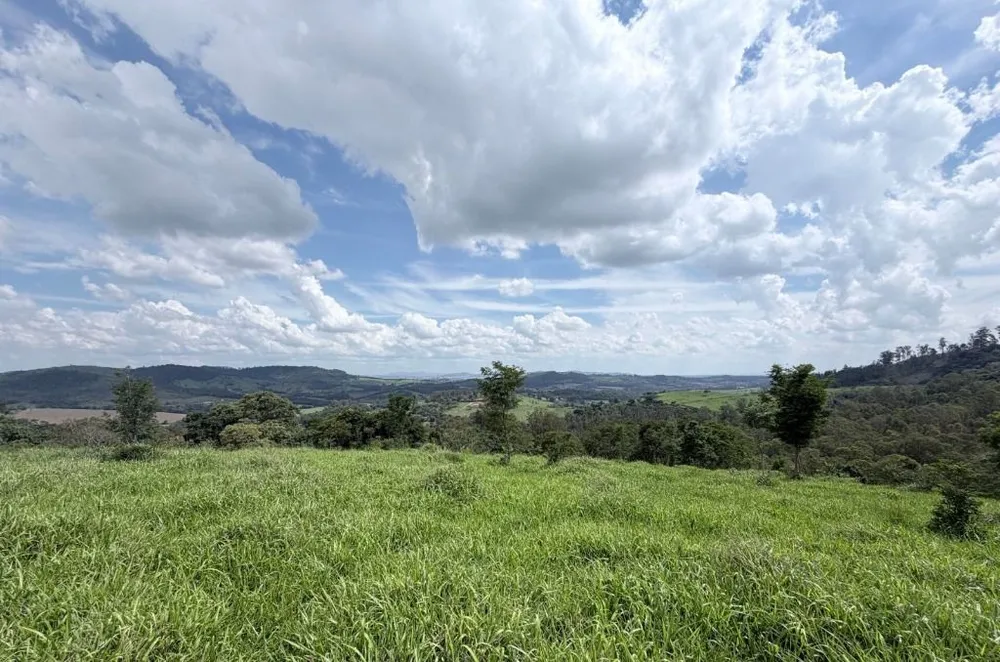 Sítio, 80 hectares - Foto 10