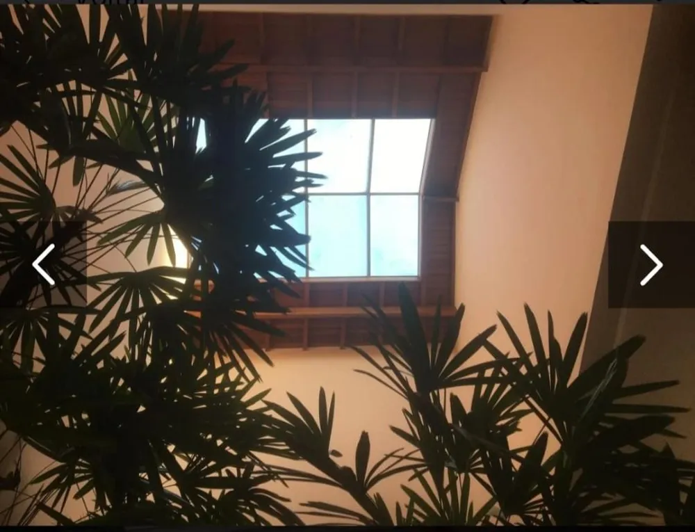 Casa, 3 quartos, 500 m² - Foto 11