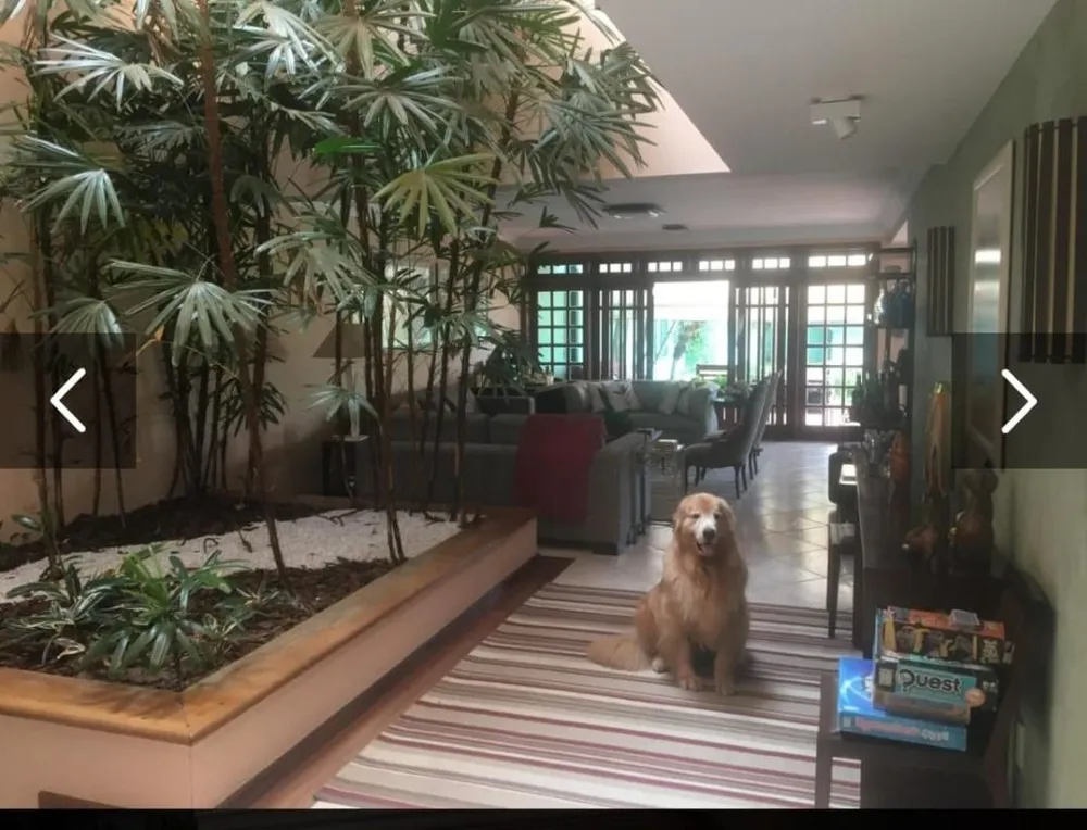 Casa, 3 quartos, 500 m² - Foto 1