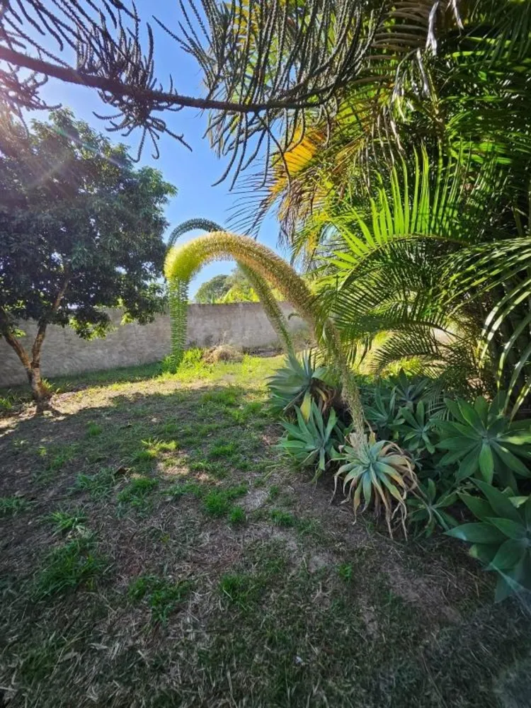 Terreno, 5000 m² - Foto 14