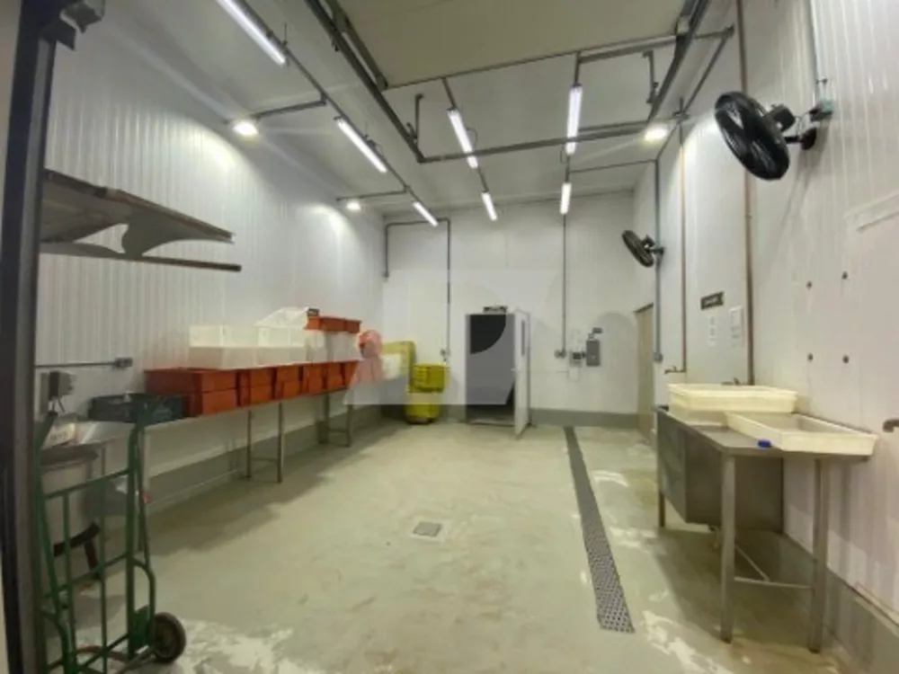 Depósito-Galpão, 450 m² - Foto 3