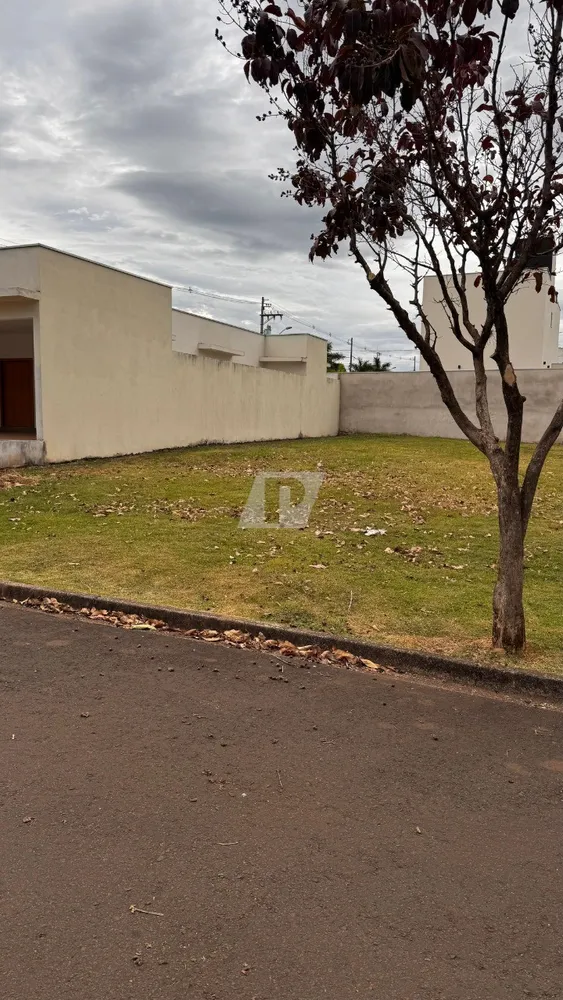 Terreno, 250 m² - Foto 16