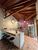 Casa, 3 quartos, 438 m² - Foto 4