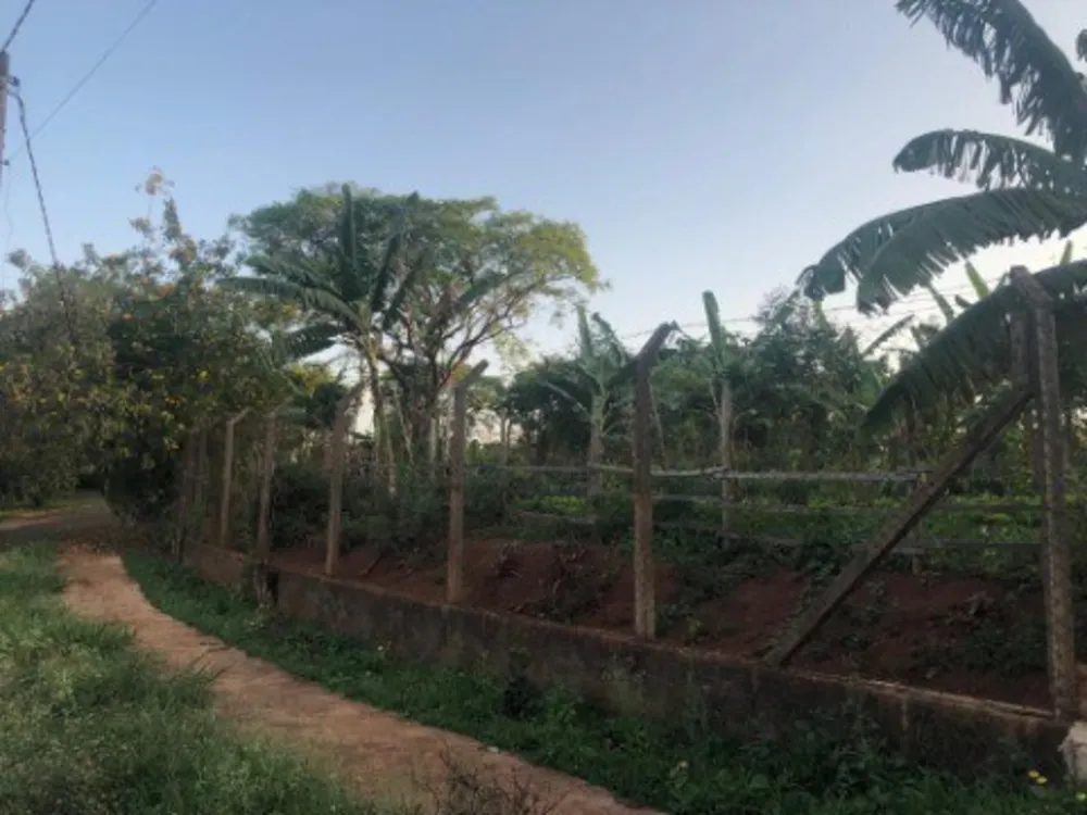 Terreno, 3000 m² - Foto 1