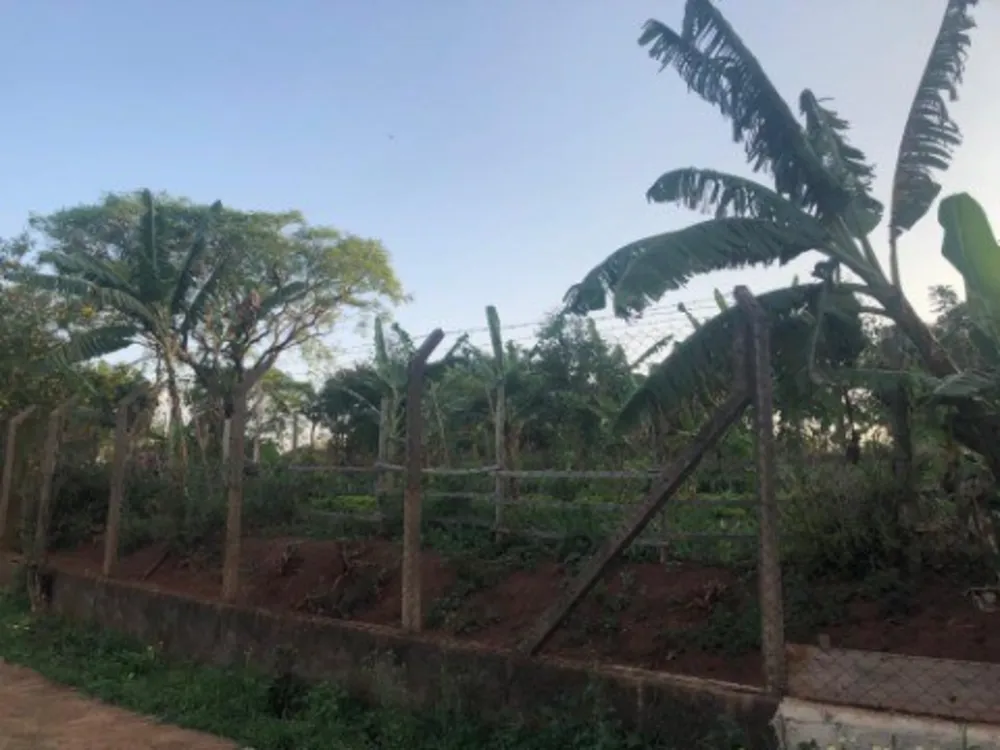 Terreno, 3000 m² - Foto 4