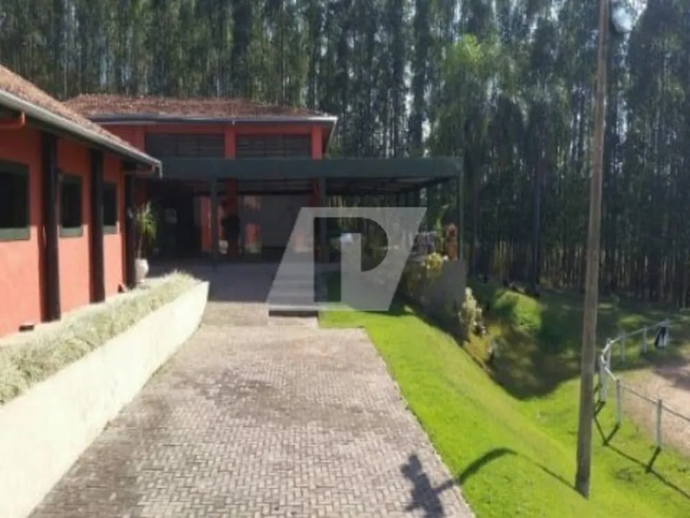 Sítio, 5 hectares - Foto 10