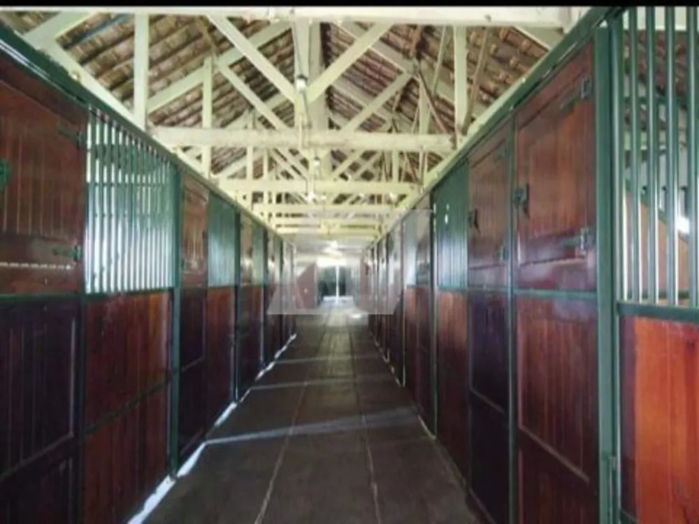 Fazenda, 5 hectares - Foto 8