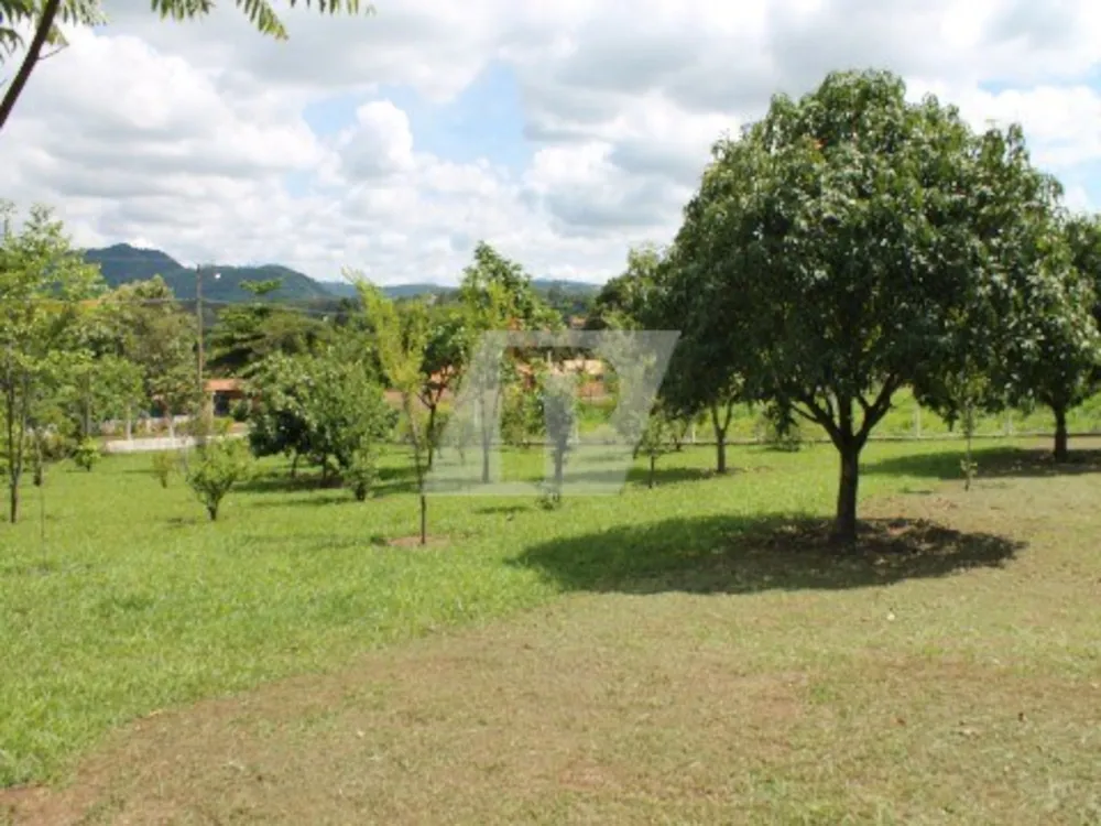 Chácara, 3 quartos, 5250 m² - Foto 6