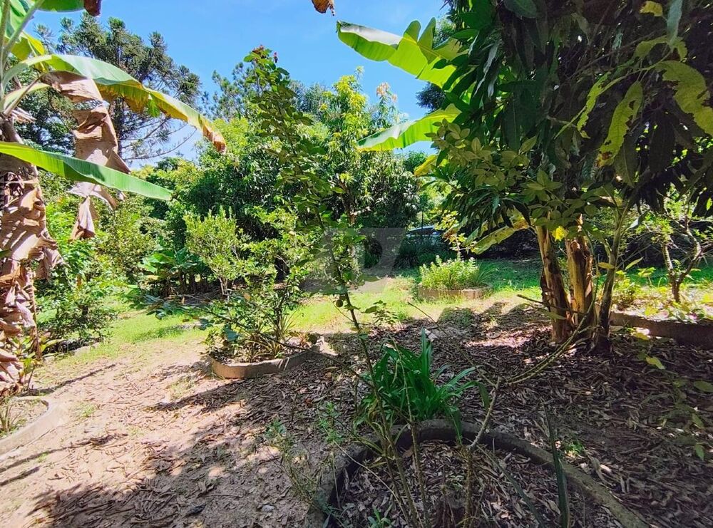 Chácara à venda com 3 quartos, 208m² - Foto 1