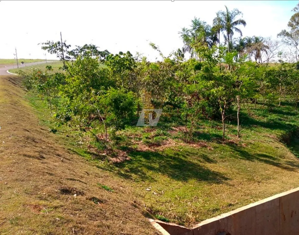Terreno, 520 m² - Foto 15