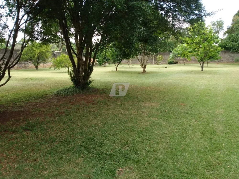 Chácara, 3 quartos, 3258 m² - Foto 2