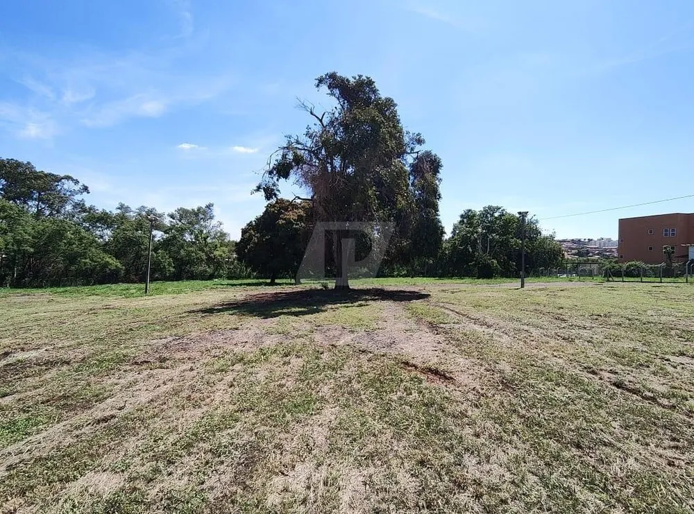 Terreno, 2 hectares - Foto 4