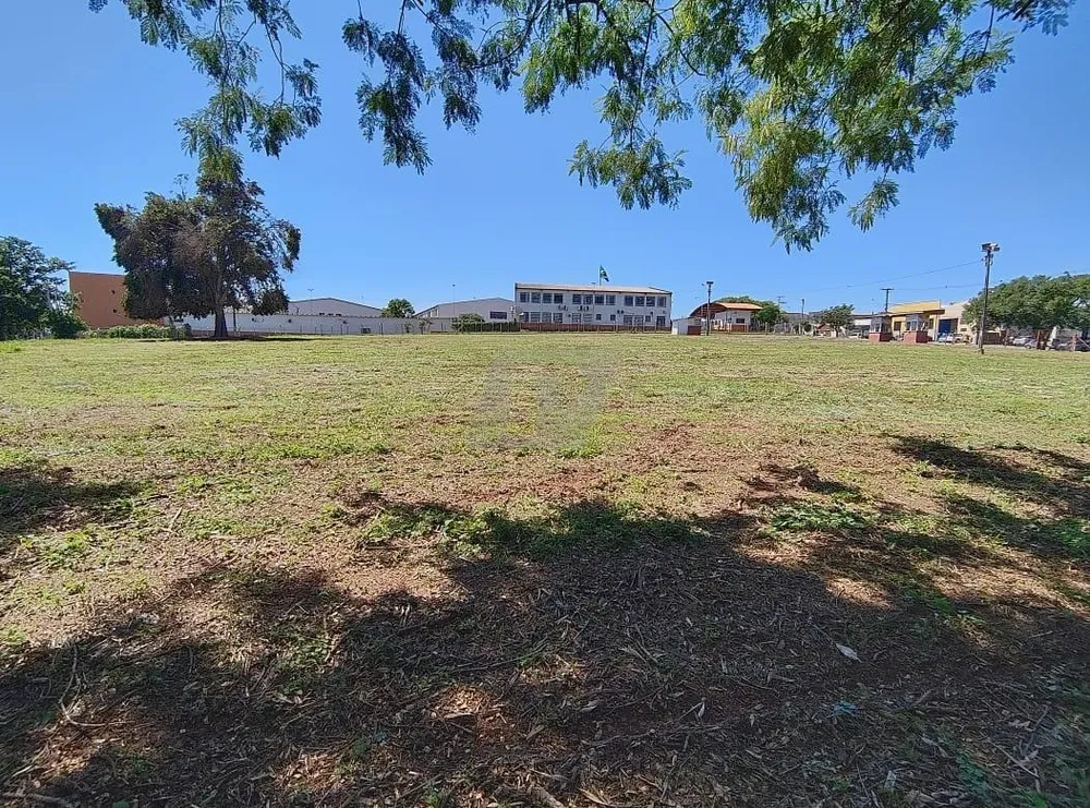 Terreno, 2 hectares - Foto 6