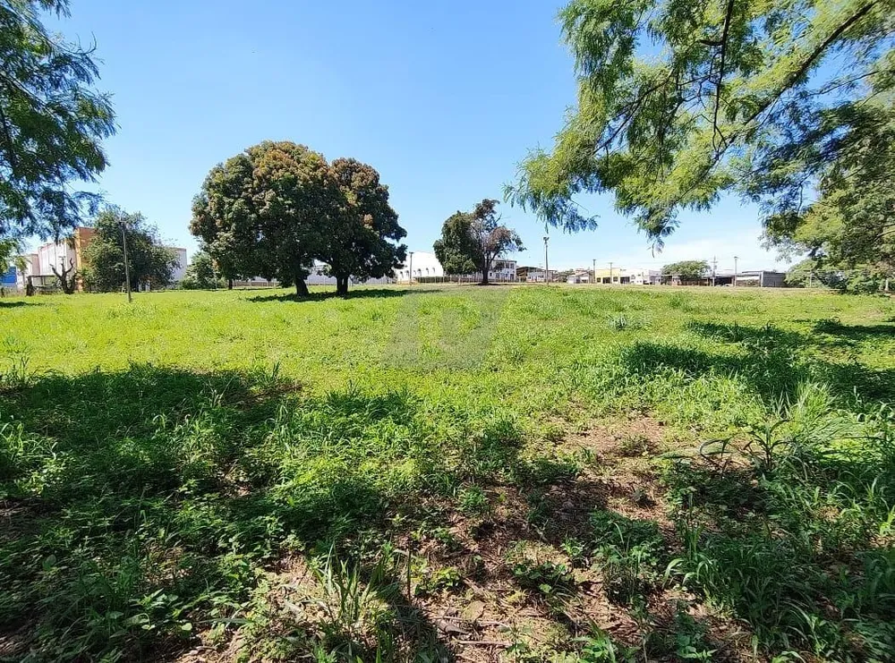 Terreno, 2 hectares - Foto 13