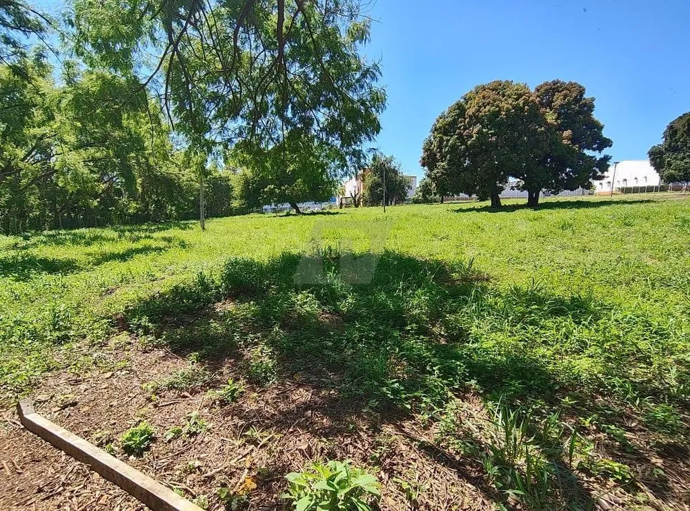 Terreno, 2 hectares - Foto 11