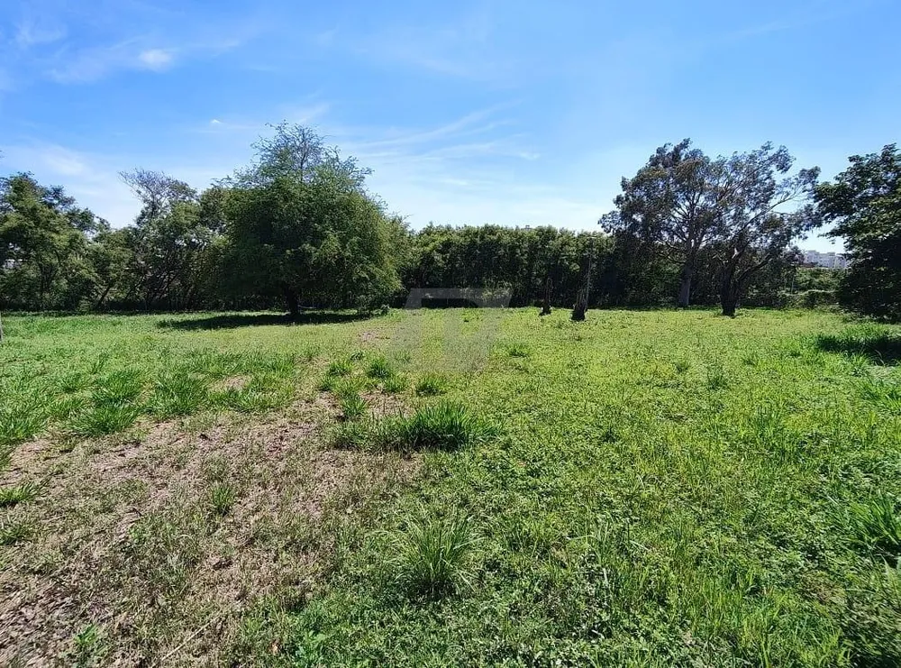 Terreno, 2 hectares - Foto 9
