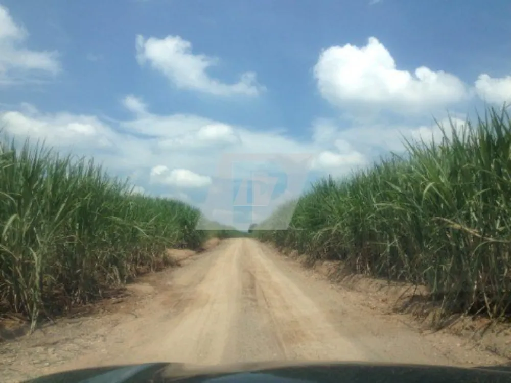 Fazenda, 44 m² - Foto 8
