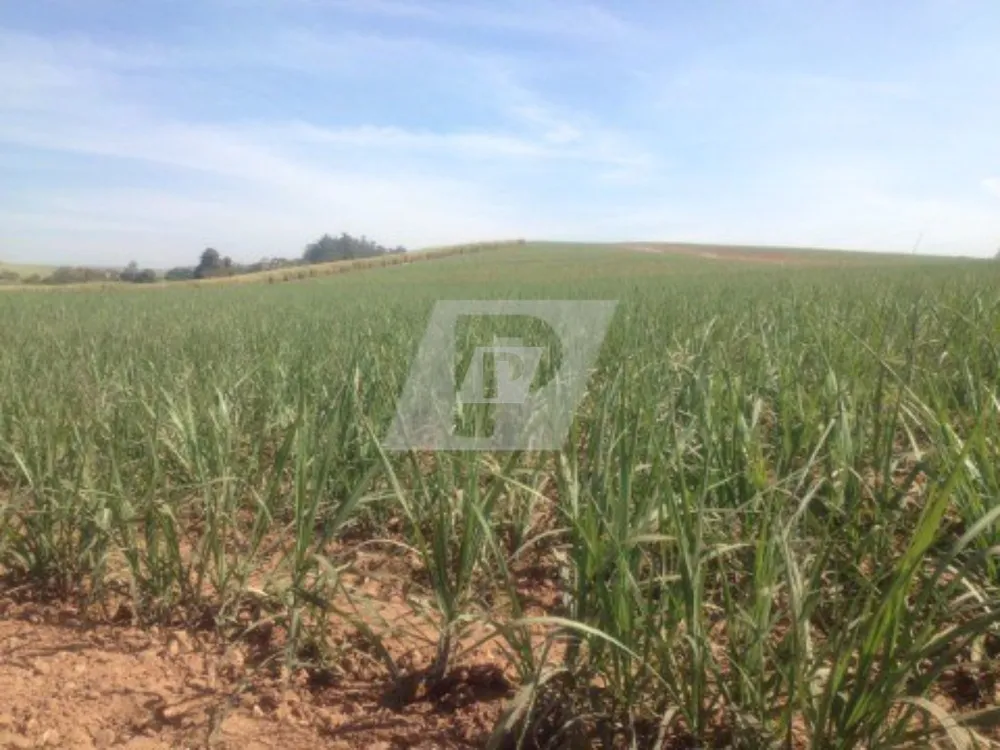 Fazenda, 44 m² - Foto 7