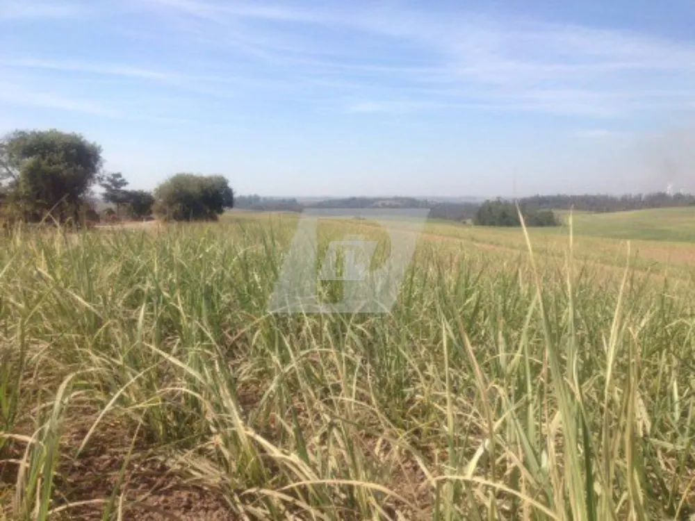 Fazenda, 44 m² - Foto 6
