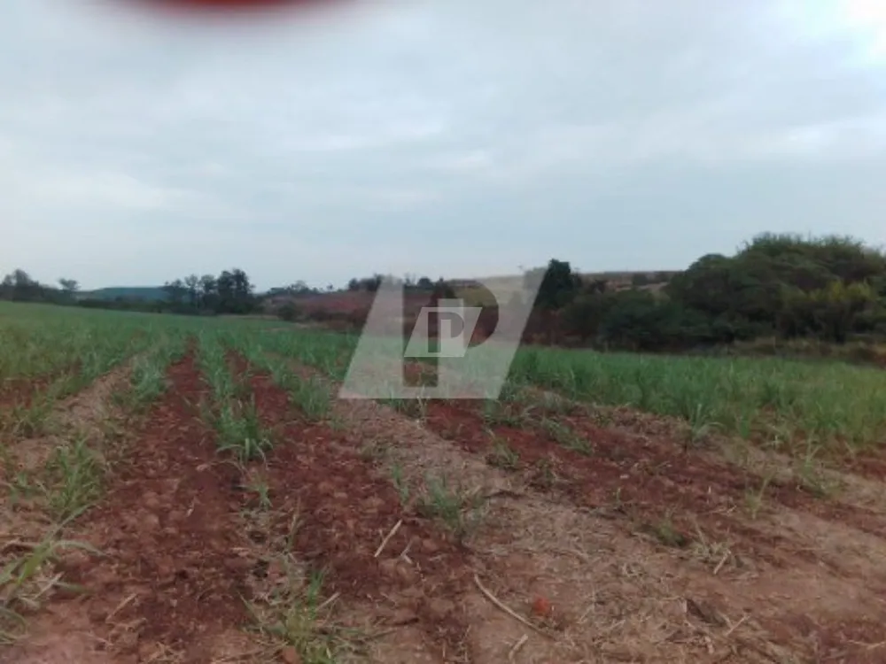 Fazenda, 44 m² - Foto 2