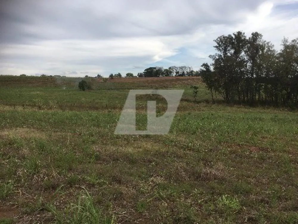 Terreno, 96800 m² - Foto 3