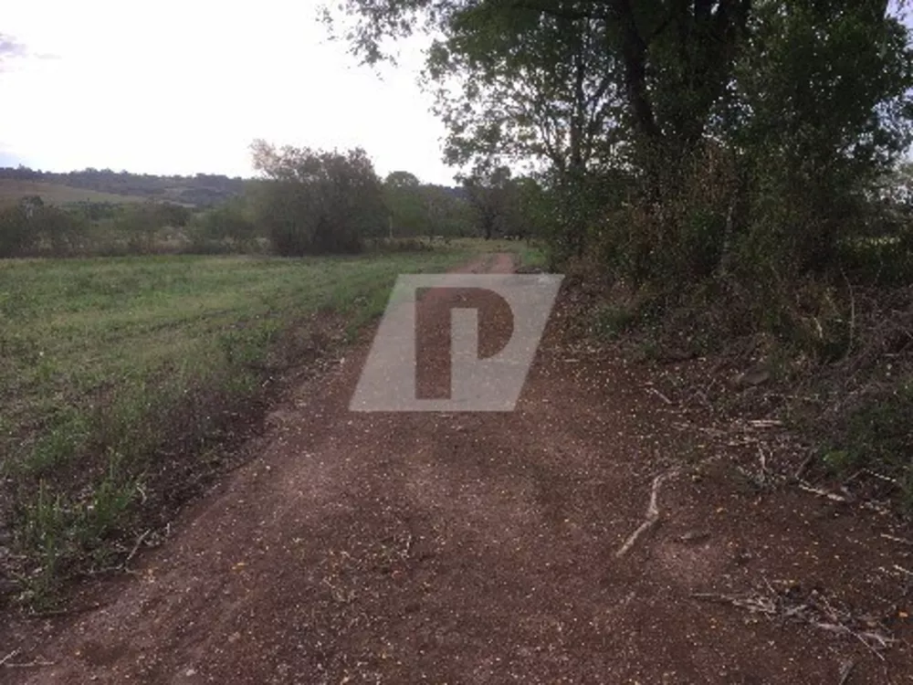 Terreno, 96800 m² - Foto 3