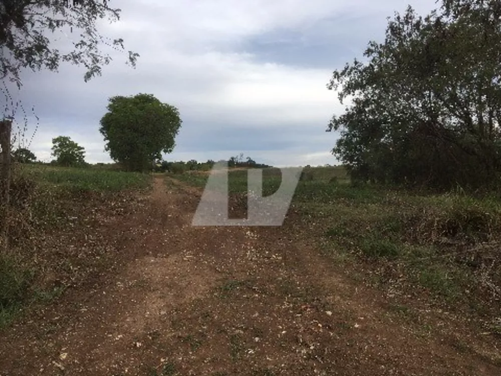 Terreno, 96800 m² - Foto 4